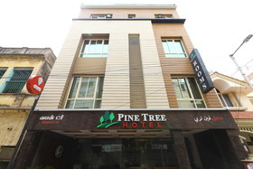 OYO Flagship 486 Nungambakkam-Greams road-Apollo Hospital