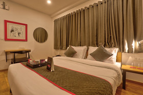 OYO Townhouse 87 Spartan Nagar