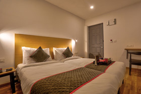OYO Townhouse 87 Spartan Nagar