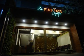 Pine Tree Signature