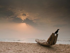 Shelter Beach Resort