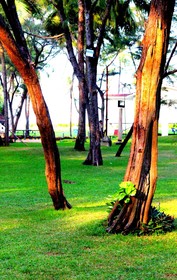 VGP Golden Beach Resort