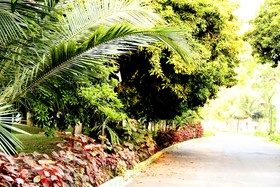 VGP Golden Beach Resort