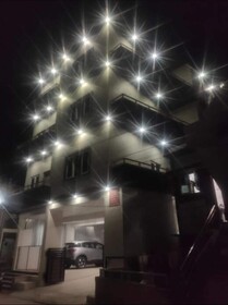 Moshis Nest