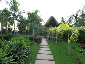 Coco Retreat Farm