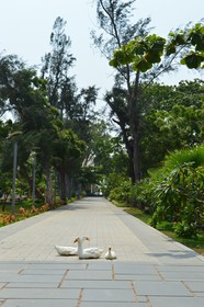 Welcomhotel by ITC Hotels, Kences Palm Beach, Mamallapuram