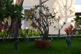 Welcomhotel by ITC Hotels, Kences Palm Beach, Mamallapuram