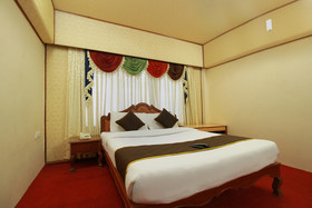 Hotel Gaylord by OYO Rooms