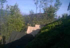 Janardan Tea Resort