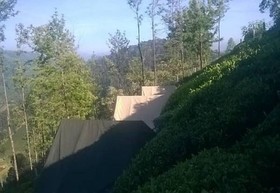 Janardan Tea Resort