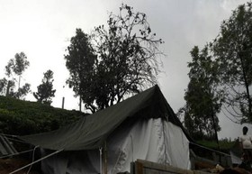 Janardan Tea Resort