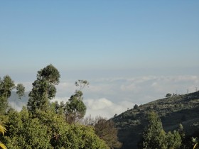 Mount N Mist
