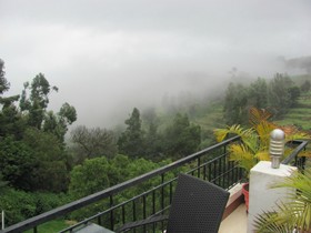 Mount N Mist