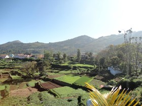 Mount N Mist