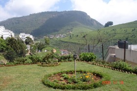 Onelovedale Blusalz Homes