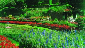 Savoy - IHCL SeleQtions, Ooty
