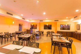 Ginger Pondicherry