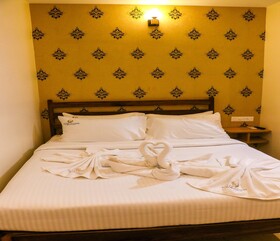 Hotel Vi Park