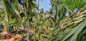 RK Resorts