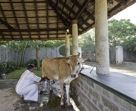 Sparsa Resort Thiruvannamalai