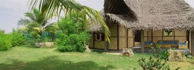 The Dune Eco Village and Spa - Pondicherry