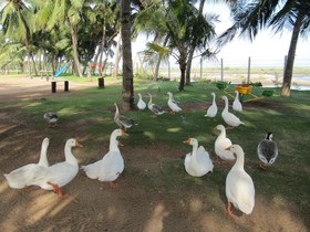 Radisson Resort Pondicherry Bay