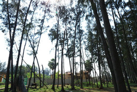Kushi Beach Resort