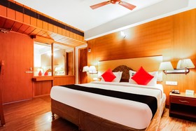 Hotel Raj by OYO