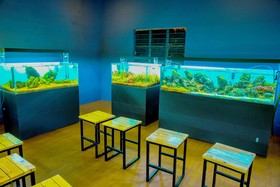 Fundera Aqua Stay