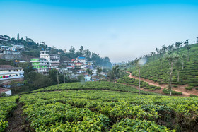 Maryland Homestay