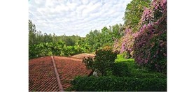 Shevaroys