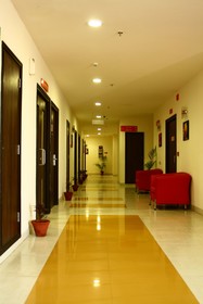 Ginger Agartala