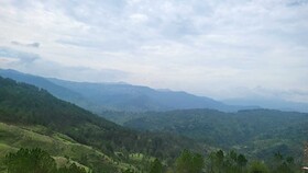 Adaara Retreat