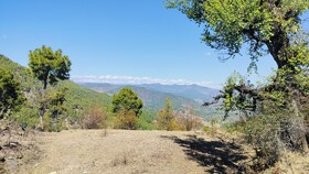 Adaara Retreat