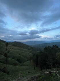 Adaara Retreat