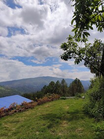 Adaara Retreat