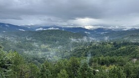 Blusalz Collection Binsar Eco Resort