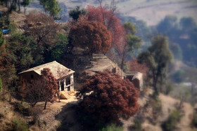 Daankudi Heritage House