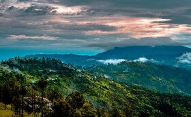 Hotel Pine & Dine Almora