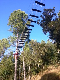 Majkhali Woods Ranikhet By Himalayan Eco Lodges