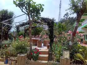StayApart-Maa Anadmayee Guest House