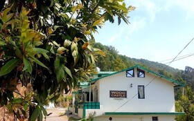 Wood Castle Luxury Home Stay