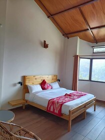 Wood Castle Luxury Home Stay