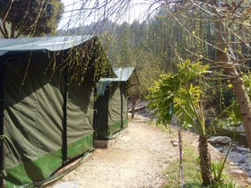 Camp Pine Riviera