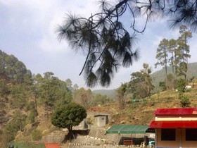 Camp Pine Riviera