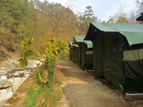 Camp Pine Riviera