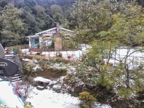 Emerald Trail