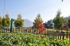Emerald Trail
