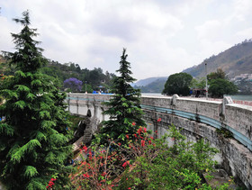Mapple Hermitage Bhimtal
