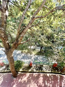 SeaHawk Resort Bhimtal